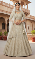 Silver Shimmer Lehenga